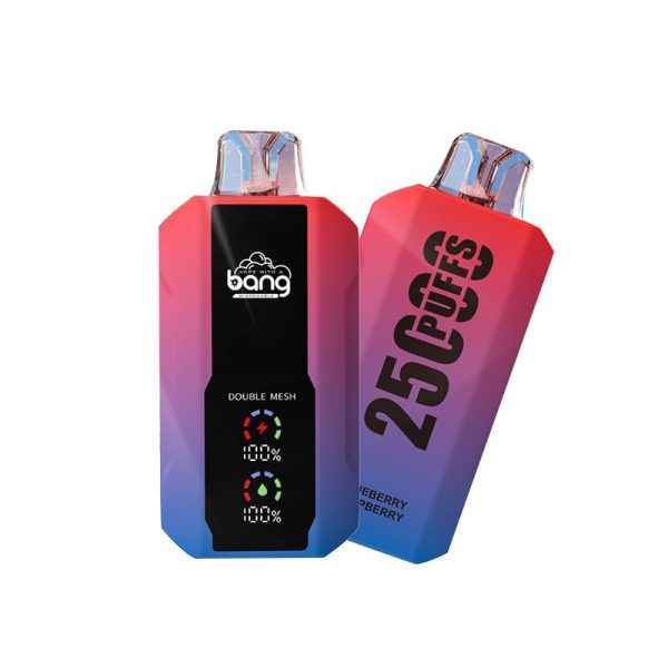 bang 25000-10 Bang Vape 25K (25000 puff / laite) – mesh-vastus | 10 kpl/pakkaus